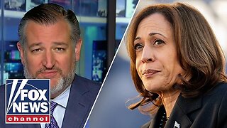 Ted Cruz: Kamala Harris sees 11 million illegal immigrants as future Democratic voters