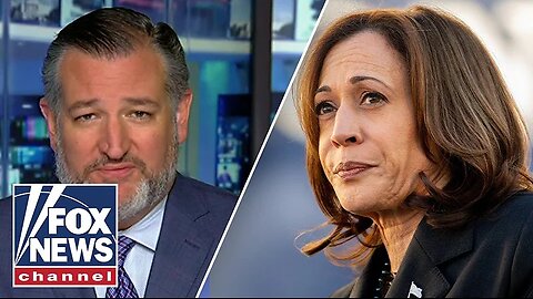 Ted Cruz: Kamala Harris sees 11 million illegal immigrants as future Democratic voters