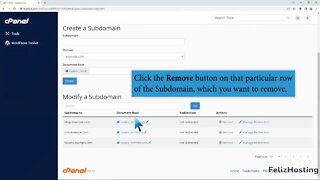 How to Remove a Subdomain in cPanel with FelizHosting