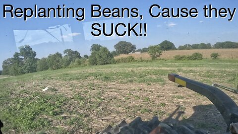 Replanting Beans, Cause they Suck!!