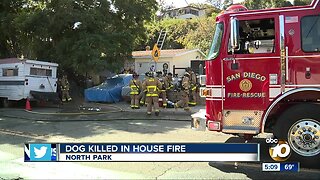 Dog killed in house fire