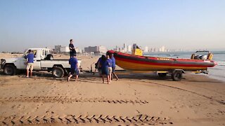 SOUTH AFRICA - Durban - International Turtle Day (Video) (Lju)