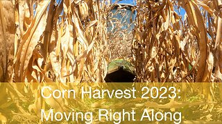 Corn Harvest 2023: Moving right along