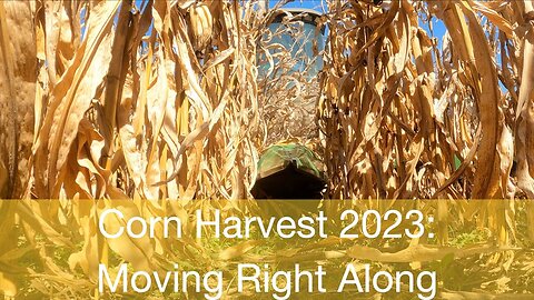 Corn Harvest 2023: Moving right along