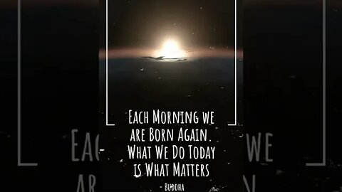 Each Morning We are Born Again. What We Do TODAY is What Matters MOST #shorts #zen #meditation
