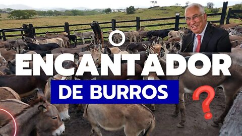 O ENCANTADOR DE BURROS!!! QUE MISÉRIA!!!