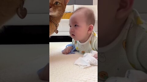 Cat and Baby.