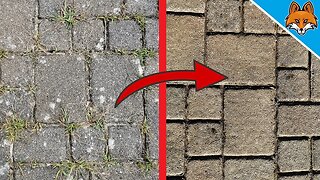 3 Things to keep my Paving Stones look like new 💥 (EVERYONE asks me for the secret) 🤯