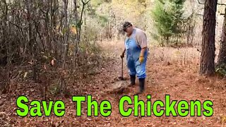Project Save The Chickens pt1
