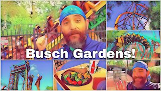 Busch Gardens! | Free Food | Roller Coasters