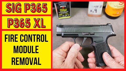 Sig Sauer P365 FCU (Fire Control Unit) Removal & Installation. How to Change Sig P365 Grip Modules