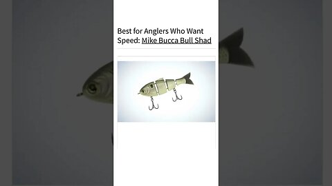 Best Swimbaits