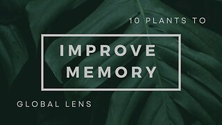 10 PLANTS THAT WILL TURN YOU INTO A MEMORY GENIUS - UNLOCK YOUR BRAIN'S FULL POTENTIAL NOW!