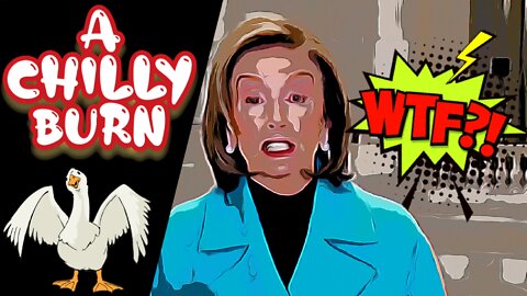 Nancy Pelosi, a Real Eyebrow Raiser / A Chilly Burn #nancypelosi
