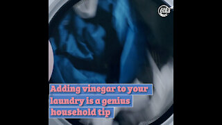 Adding Vinegar in Your Laundry is a Genius Household Tip