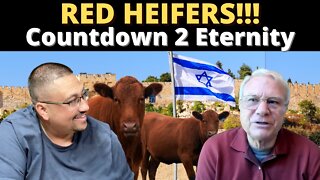 RED HEIFERS and the THIRD TEMPLE!!!