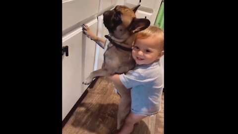 Baby and loving dog share a precious bond together.
