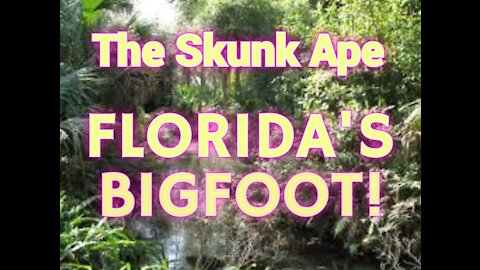 The Skunk Ape. Florida's Bigfoot!