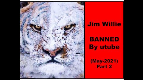 Jim Willie - BANNED by utube - May -2021- Part-2