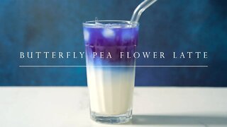 〈健康茶飲〉蝶豆花鮮奶 ┃Butterfly Pea Flower Latte