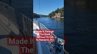 Dodd Narrows, BC Canada! #shorts #sailboat #boatlife