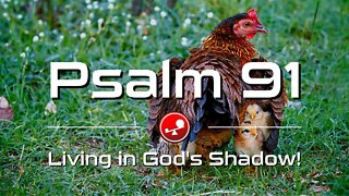 PSALM 91 - Living in God's Shadow - Daily Devotional - Little Big Things