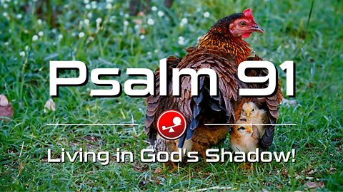 PSALM 91 - Living in God's Shadow - Daily Devotional - Little Big Things