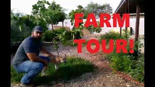 THE URBAN FARM TOUR!