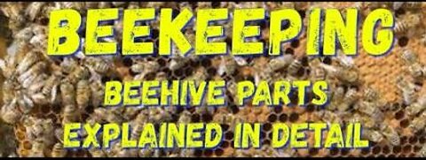 How to start beekeeping - Beehive Step by Step #beekeeping #beekeeper #bees #honeybee #honey #bee
