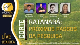 RATANABÁ - Considerações Finais e Próximos Passos da Pesquisa!