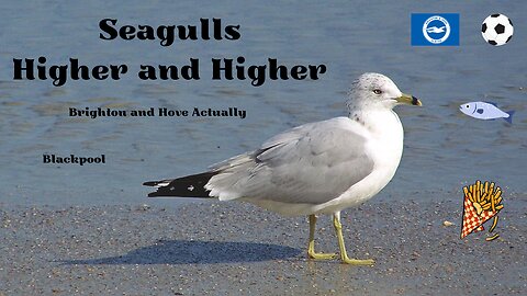 Seagulls - Higher and Higher