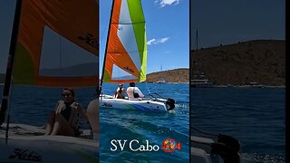 Hobie Cat-Sailing SV Cabo #short