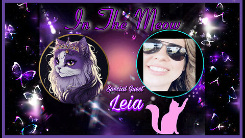 In The Meow | With Special Guest Leia Boehs