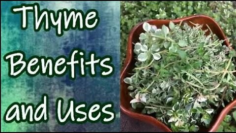 Benefits of Thyme