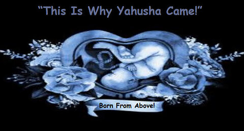 This Is Why Yahusha Came!!!