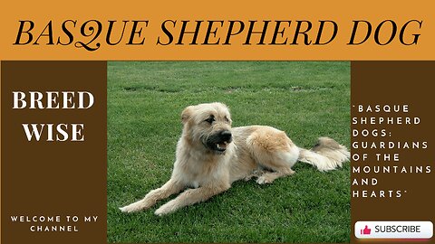 Unveiling the Basque Shepherd Dog: A Fascinating Breed with Remarkable Traits
