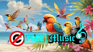 Summer Martin Birds In The Beach Vlog No Copyright Music Upbeat Tropical House Background!