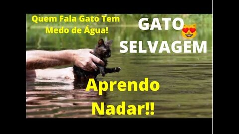 Amazing Tutor teaches your Cat to Swim in the River!!