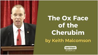 The Ox Face of the Cherubim by Keith Malcomson