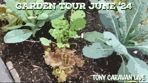June 8, 2024 - June Garden Tour ; Survival Rant