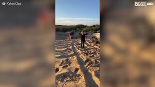 Ces conducteurs font un saut impressionnant sur une dune de sable