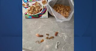 Man claims shrimp shells came from his cereal box