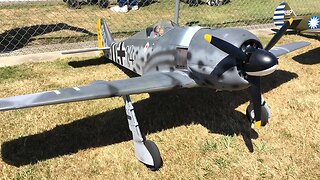 Top Flite Giant Scale Focke Wulf FW-190 WWII RC Plane at Warbirds Over Whatcom