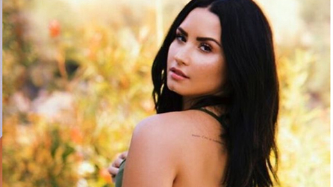Demi Lovato’s Home TARGETED For MASSIVE BURGLARY As She Seeks Treatment In REHAB!