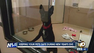 Keeping your pets safe during New Year's Eve