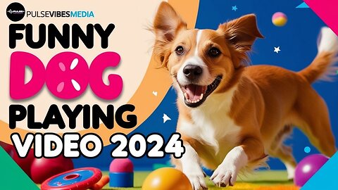 Funny Dog Playing Video Clip 2024 : No 1 Funny Animal Video || Try Not To Laugh #funnydogs