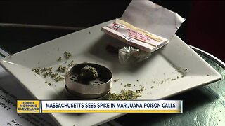 Poison calls increase for medical marijuana