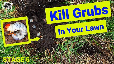 LAWN FERTILIZING PROGRAM STAGE 6 - Defend Your Lawn From Grubs - Scotts Grub Ex