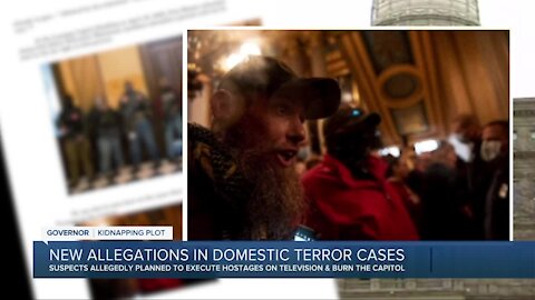 New allegations in domestic terror cases