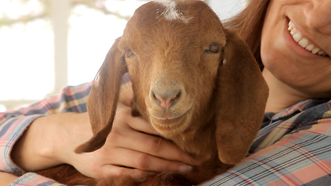 A baby goat was found near a busy street. You won't want to miss how this story ends.